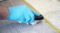 Carpet Cleaning Zetland image 4